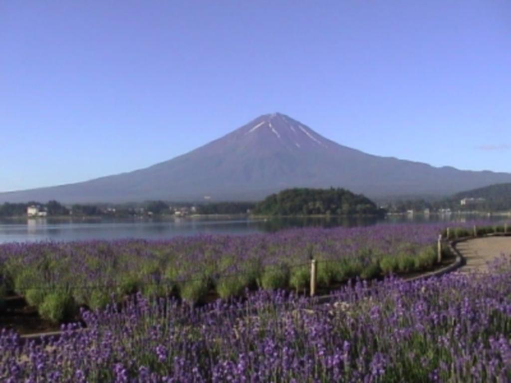 Villa May Queen Fujikawaguchiko Luaran gambar